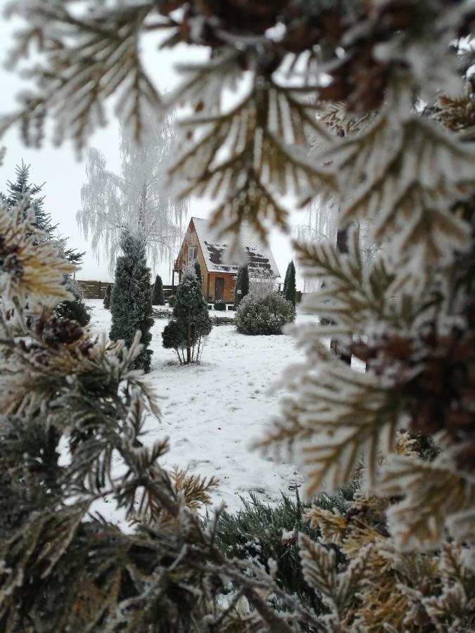 Usadba Kupalinka Hotel Ostrovo ภายนอก รูปภาพ